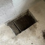 IMG_1177.jpeg