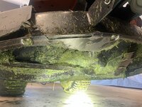 IMG_7434.jpeg