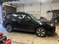 IMG_7437.jpeg