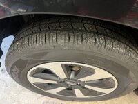 IMG_7438.jpeg