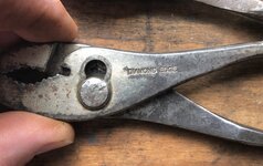 IMG_7107.jpeg