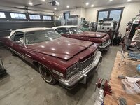 chevelles 500.JPG