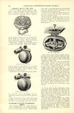 1902 Cycle and Automobile Trade Journal bells ad pp 126.jpg