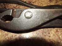 DSCF8731.JPG