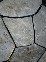 IMG_8784.jpeg IMG_8784.jpeg