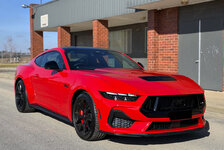 IMG-E5910f.jpg