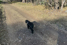 IMG-5913.jpg