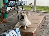 IMG_9488.jpeg
