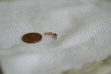 DSC04061.jpg