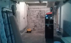 IMAG0427.jpg
