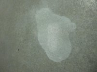 Muriatic Acid 2.jpg