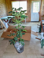 unnamed-5.jpg