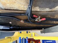 IMG_2375.jpeg