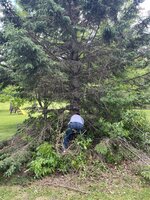 IMG_3722.jpeg