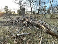 IMG_2423.jpg