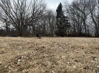 IMG_7531.jpg IMG_7531.jpg
