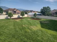 lawn10.jpg
