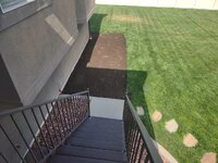 lawn11.jpg