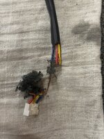 IMG_9205.jpeg