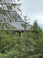 IMG_5830.jpeg IMG_5830.jpeg
