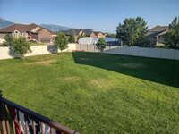 lawn6.jpg