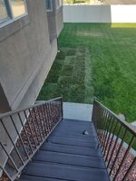 lawn7.jpg