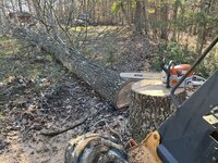 IMG_2723.jpeg