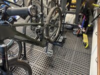 IMG_5164.jpeg IMG_5164.jpeg