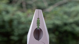 IMG-6904.jpg
