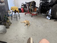 D4D7041D-E3C3-46BD-A180-2C2A204451AB.jpeg