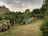IMG_6540.jpeg IMG_6540.jpeg