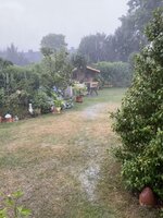 IMG_0277.jpeg IMG_0277.jpeg