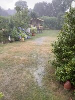 IMG_0279.jpeg IMG_0279.jpeg