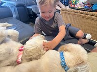IMG_5760.jpeg IMG_5760.jpeg