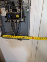 54570152848_0195d46c7f_c.jpg