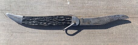 IMG_6666.jpeg
