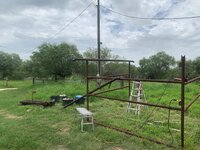 IMG_1464 (Large).jpeg
