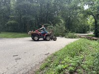 kid pulling tree off road.jpg