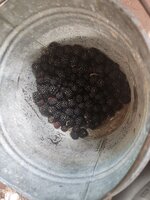 20250709_105425.jpg 20250709_105425.jpg