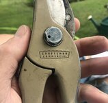 IMG_7200.jpeg