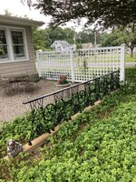 IMG_7170.jpeg
