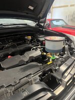 IMG_7787.jpeg