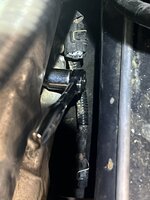 IMG_7775.jpeg