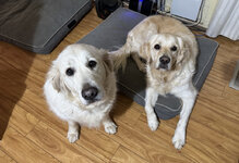 IMG-6281.jpg
