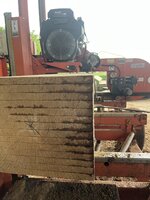 IMG_3847.jpeg