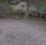 IMG_1132.jpeg