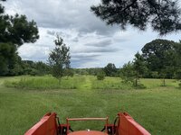 IMG_1111.jpeg