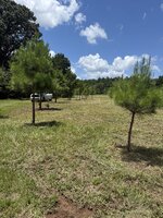 IMG_1116.jpeg