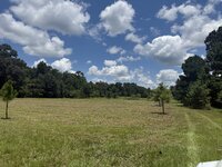 IMG_1118.jpeg