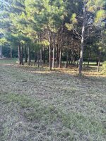 IMG_1125.jpeg